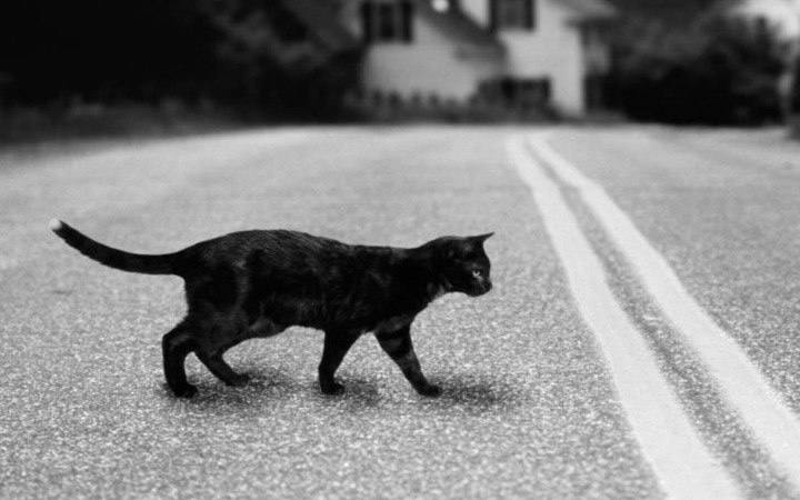 Неожиданные факты о суевериях, объясняющие их с рациональной точки зрения