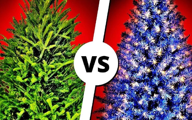 Полный гид по выбору идеальной новогодней ёлки