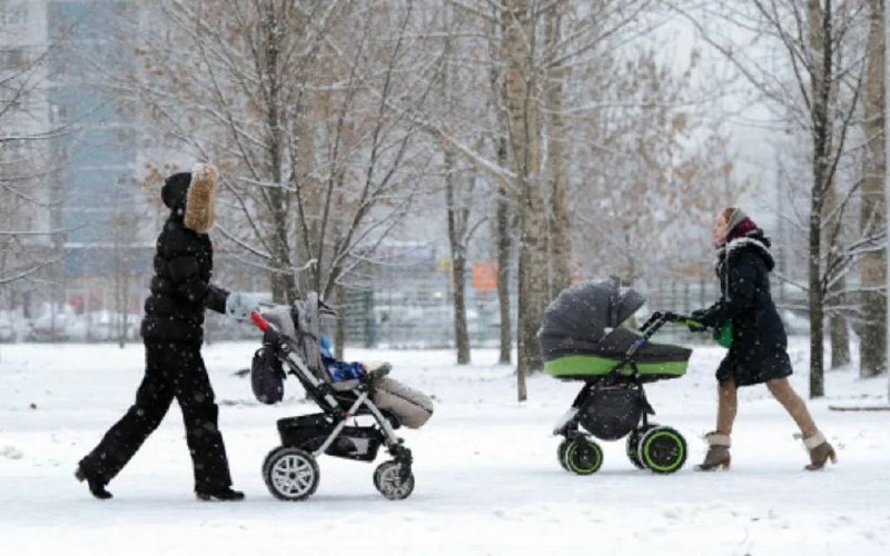 В нескольких регионах России зафиксирован рост рождаемости