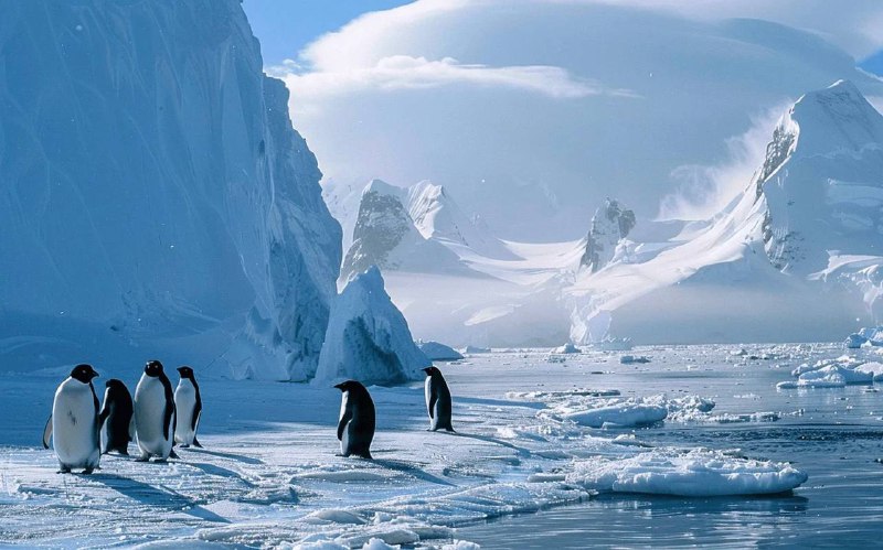 Факты и мифы об Антарктиде, которые вас удивят