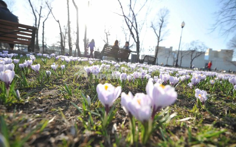 15 полезных привычек и лайфхаков для весеннего сезона